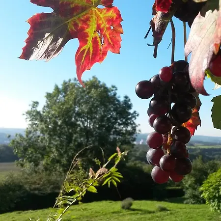 Pensionat Atelier N°5 4*