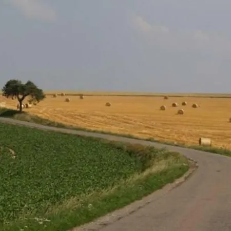 Pensionat Atelier N°5 4*